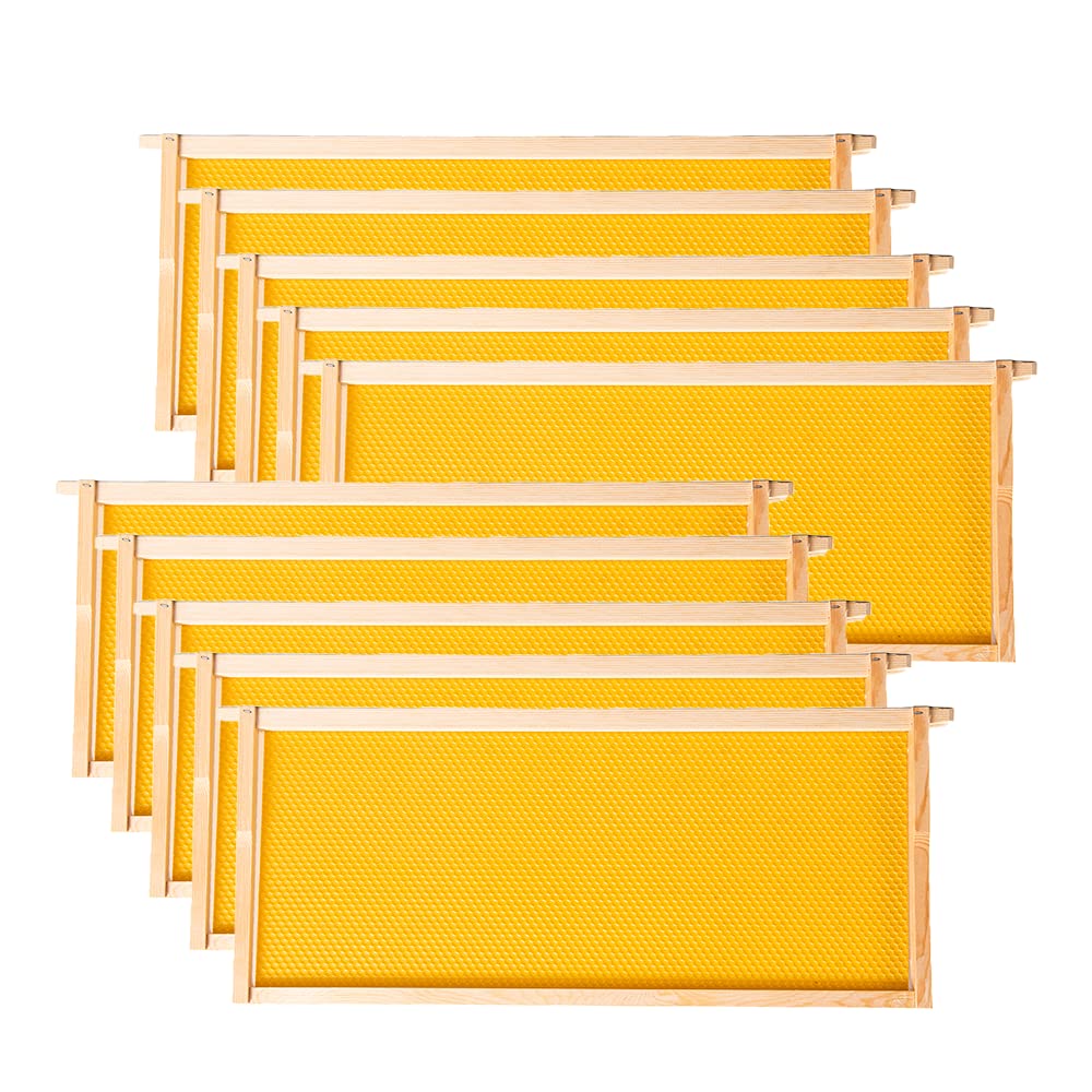 MayBee Deep Brood Beehive Frame front view with yellow wax foundation
