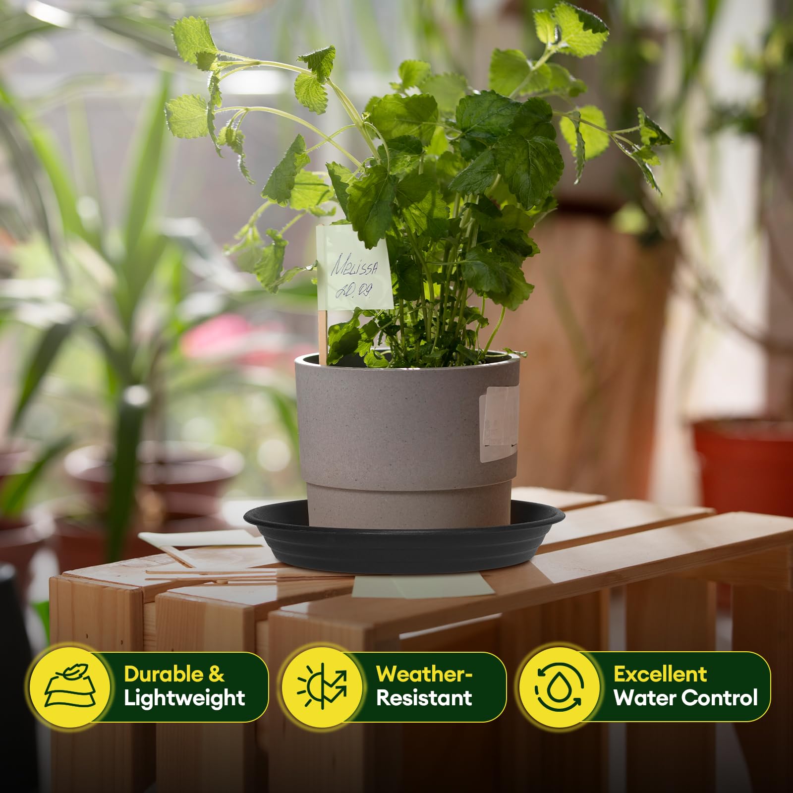 Maygrove 12-inch plant saucer side view