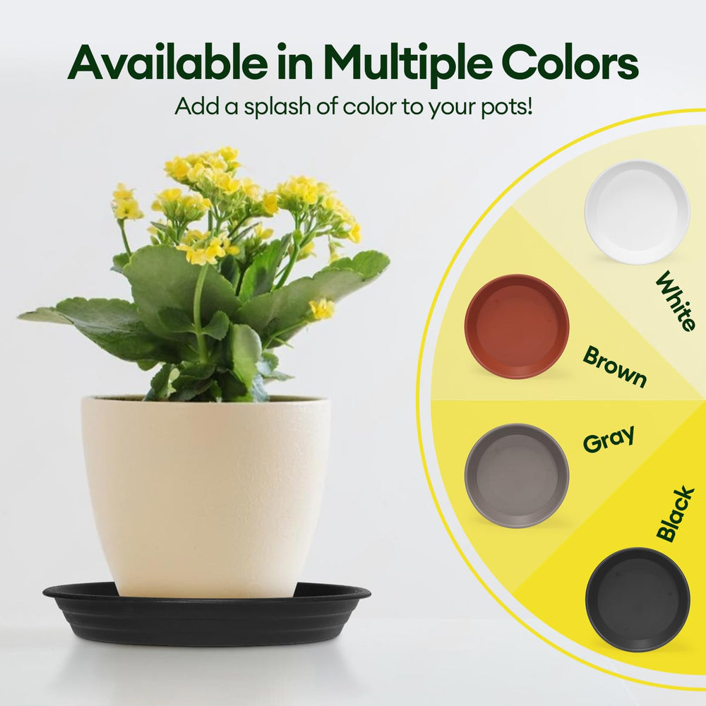 Maygrove 12 inch plant saucer with colorful pebbles