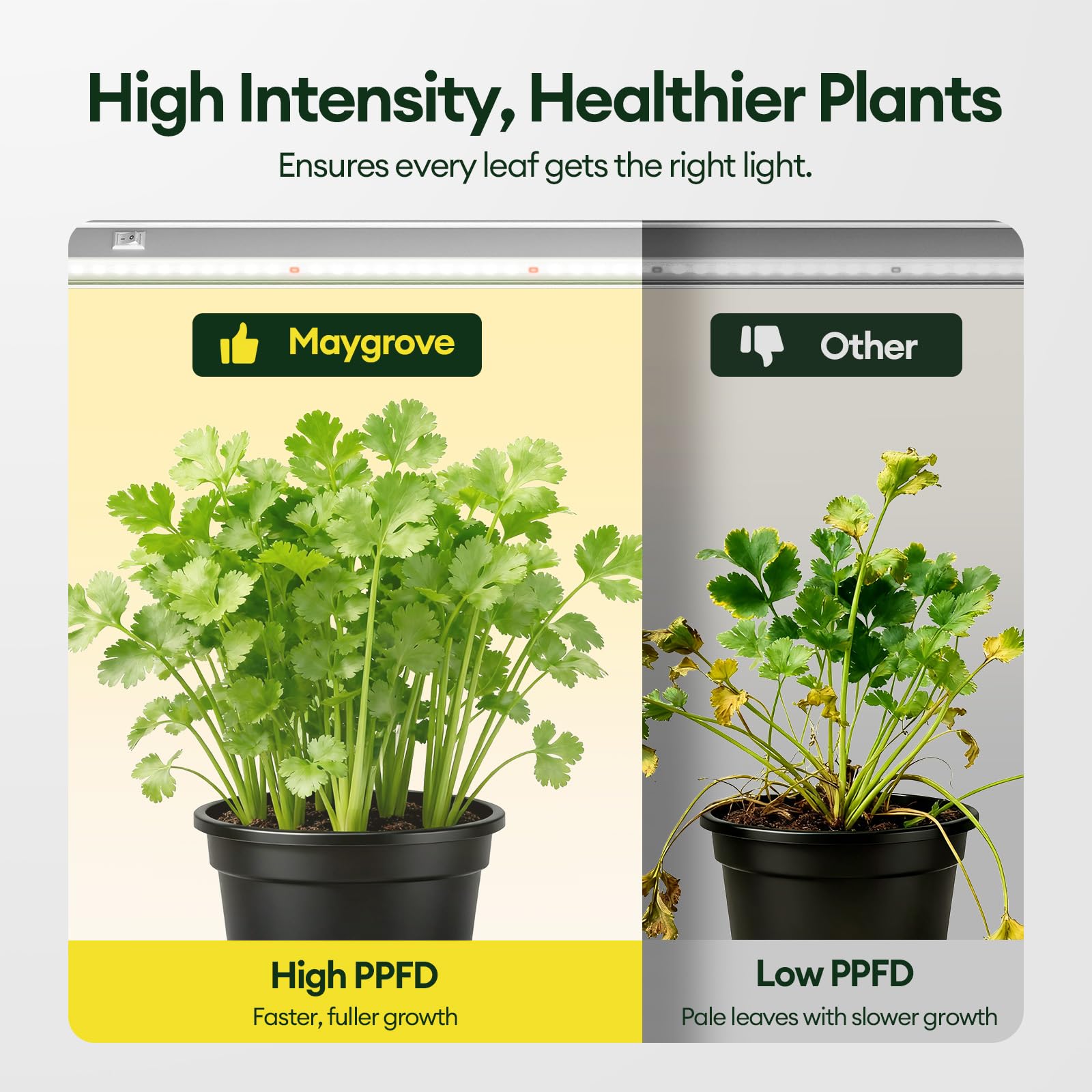 Maygrove T5 Grow Lights mounted on a shelf with plants