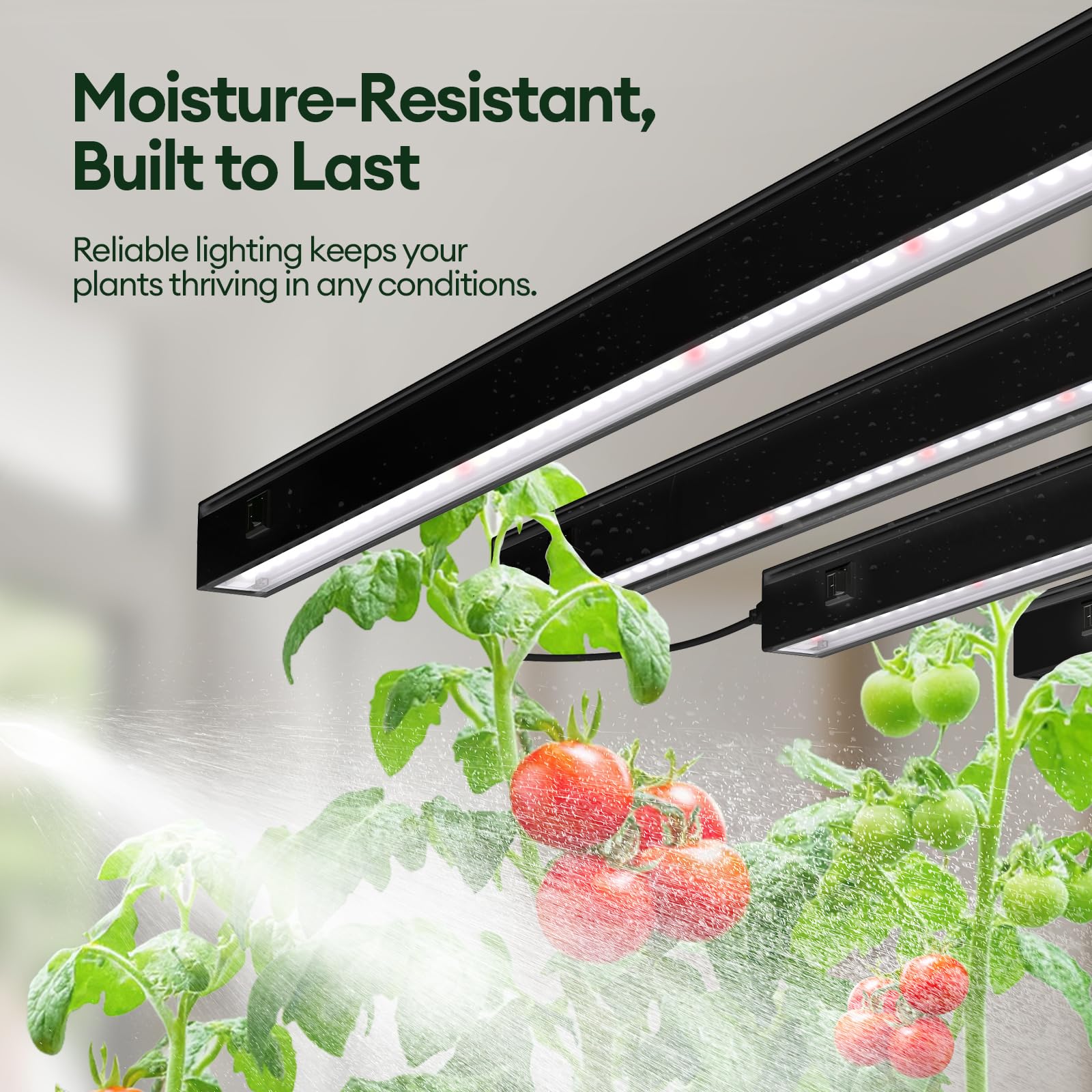 Maygrove T5 Grow Lights showing individual control switches