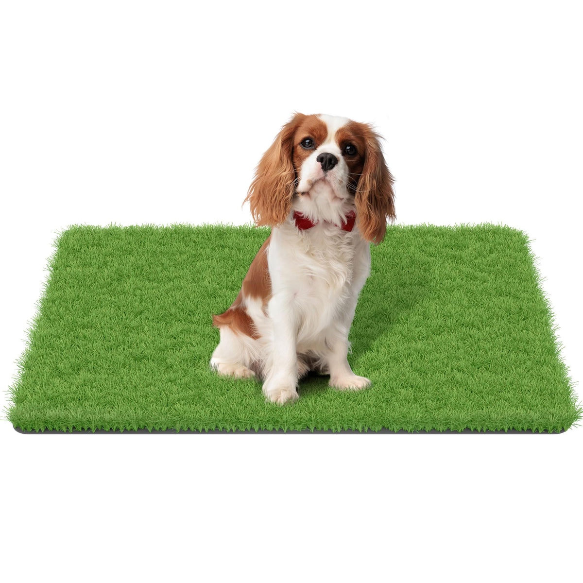 MAYSHINE 35" x 24" Artificial Grass Mat for Dogs, Green front view