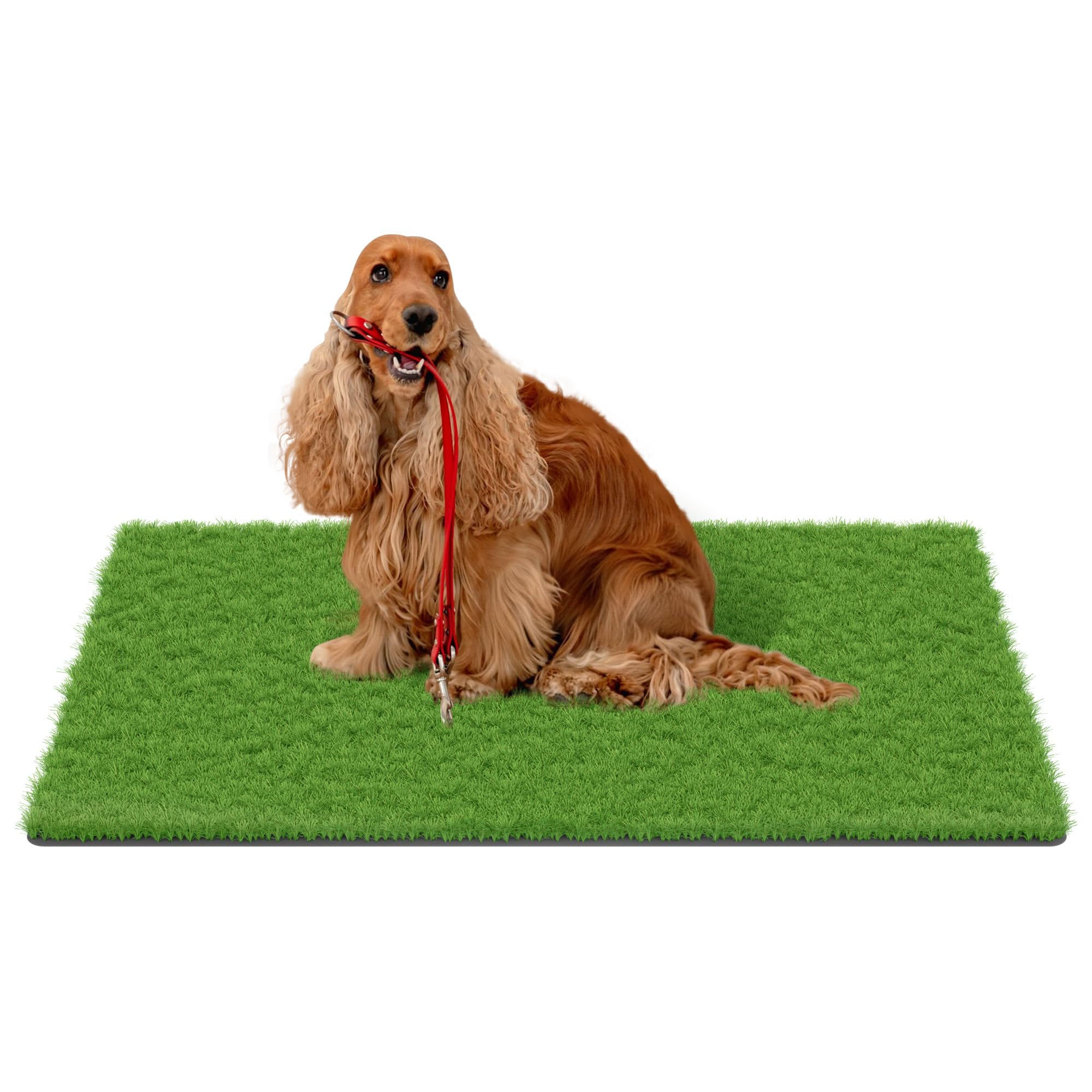 MAYSHINE Artificial Grass Mat 59"x36" front view