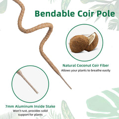 Mcbazel 63 Inch Bendable Moss Pole with climbing plants