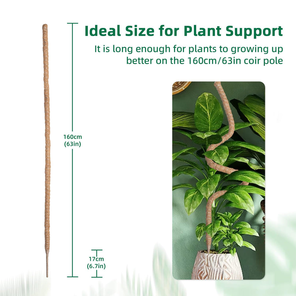 Mcbazel moss pole secured in pot with Pothos plant