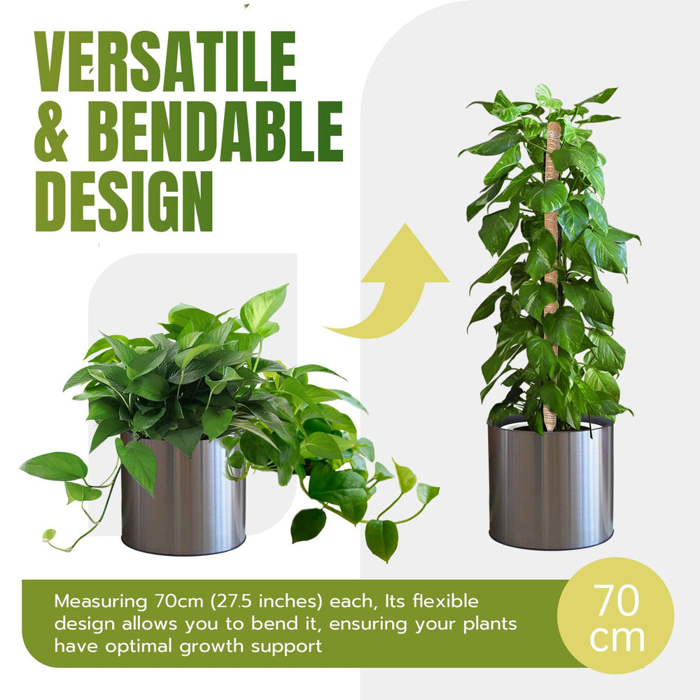 Mcbazel moss pole supporting a Monstera plant in a pot