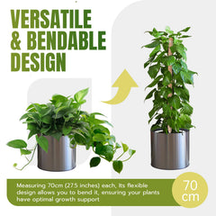 Mcbazel moss pole supporting a Monstera plant in a pot