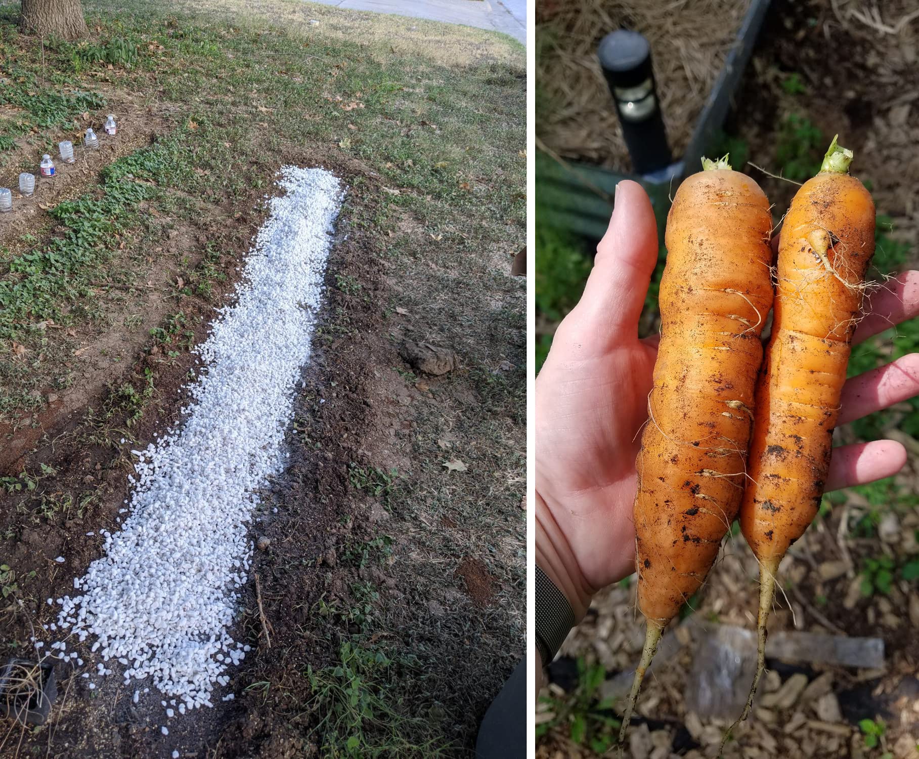 MDPQT Horticultural Perlite standard size
