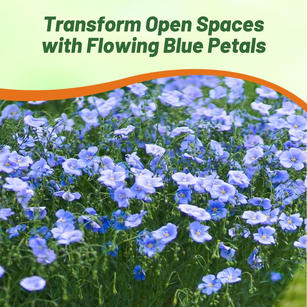 Meadow with vibrant Blue Flax blooms