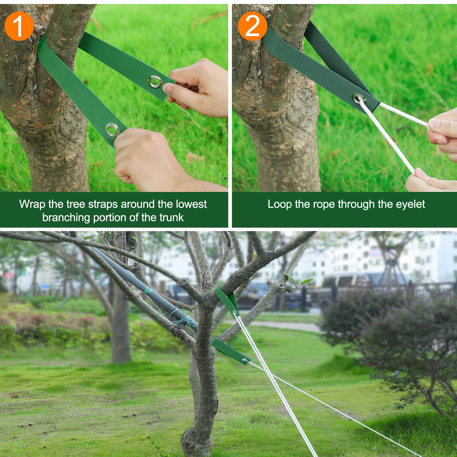 Measurement of Jevrench tree strap length