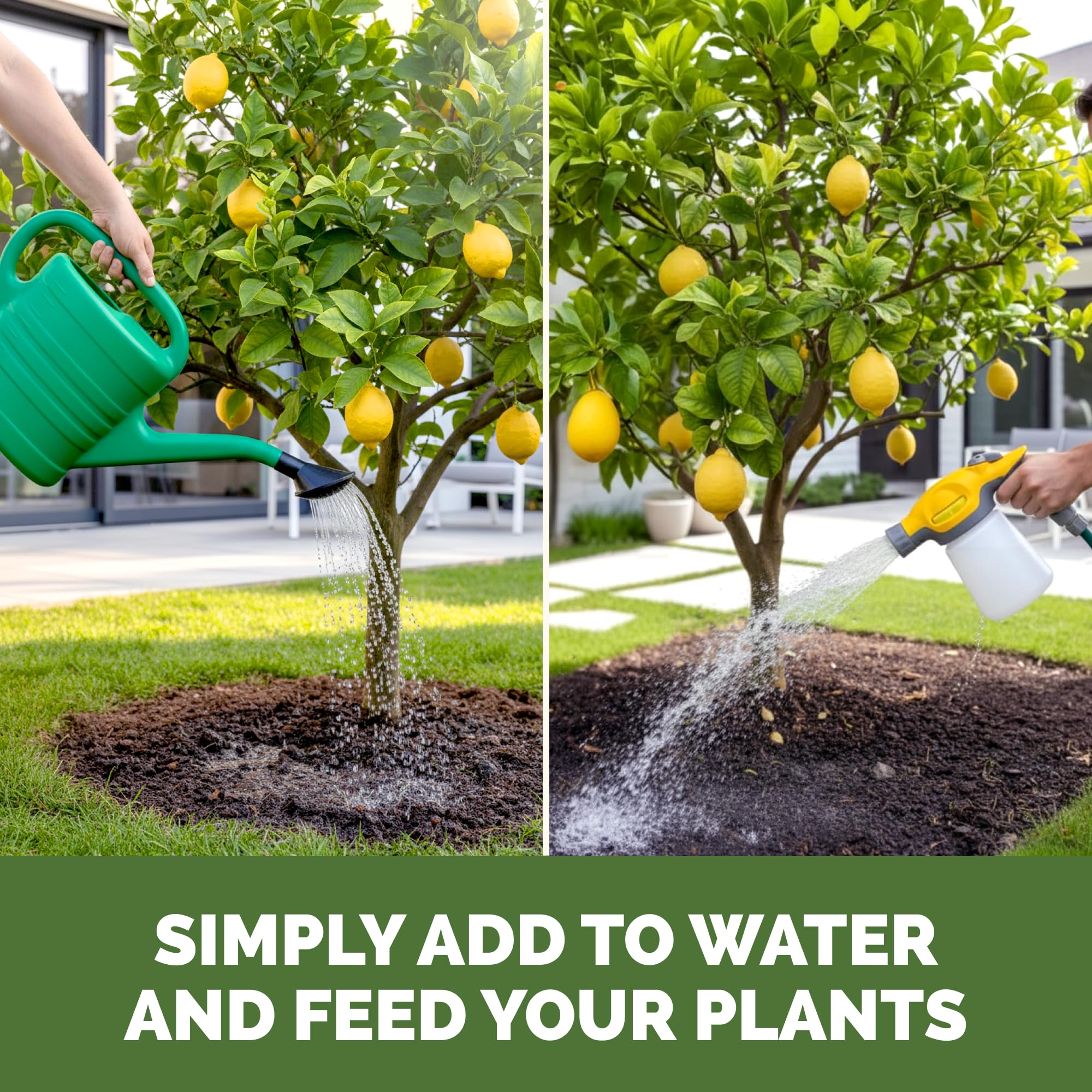 Measuring TPS NUTRIENTS Lemon Tree Fertilizer for application