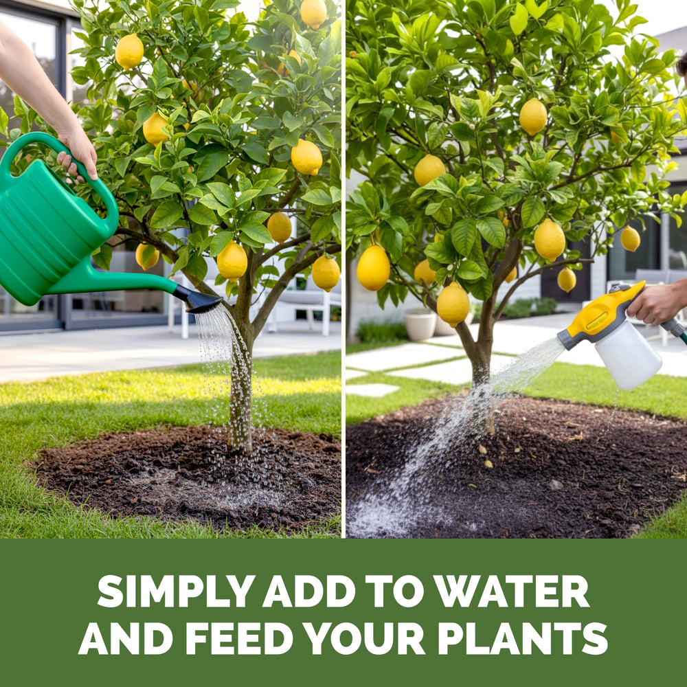 Measuring TPS NUTRIENTS Lemon Tree Fertilizer for application