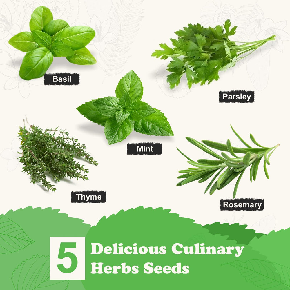 Meekear Herb Seeds Garden Starter Kit packaging