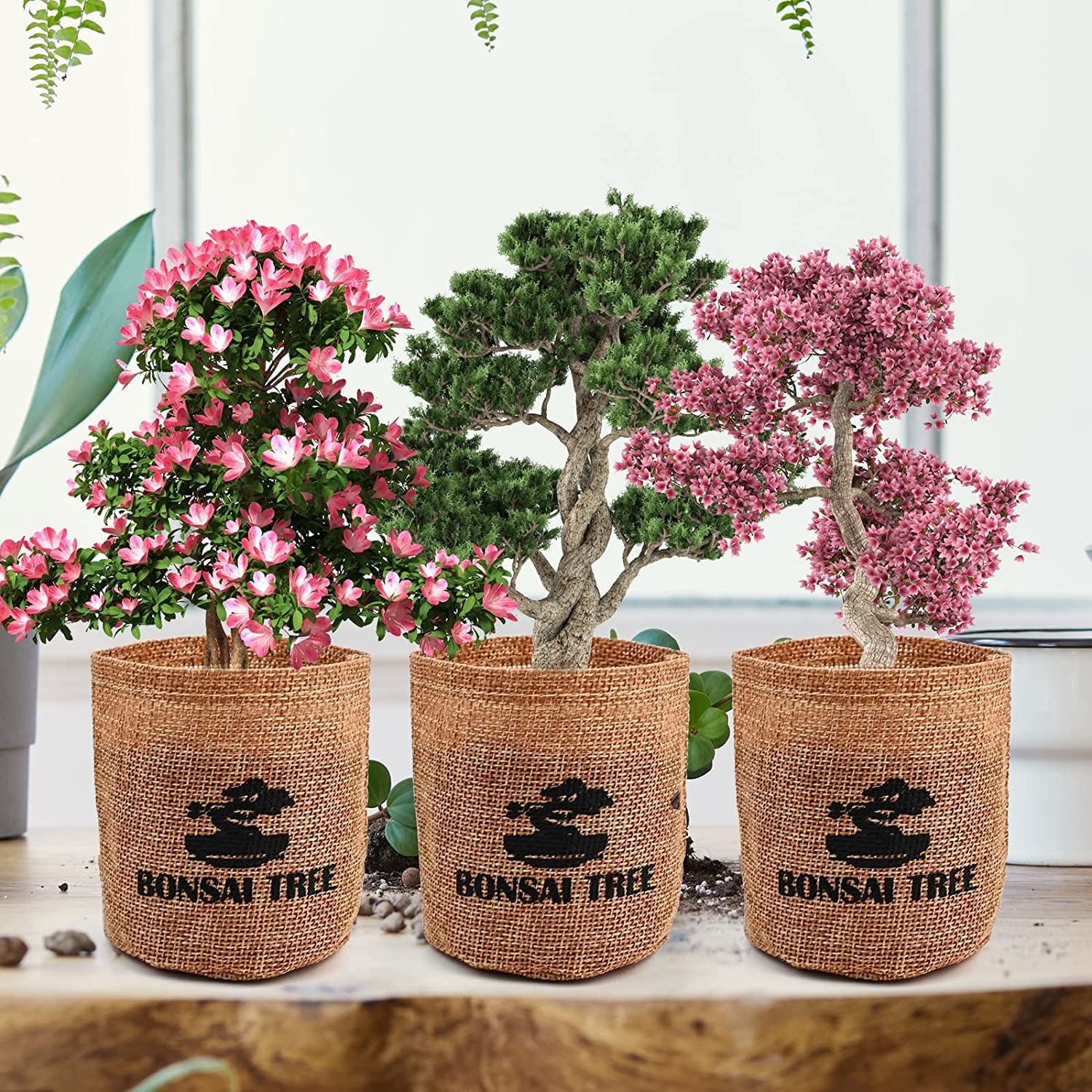 Meekear Indoor Starter Kit beautifully packaged