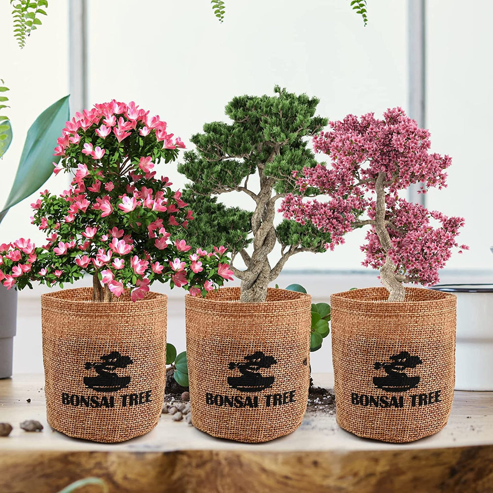 Meekear Indoor Starter Kit beautifully packaged