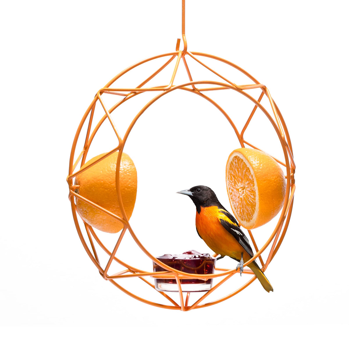MEKKAPRO Baltimore Oriole Feeder with orange powder-coated finish
