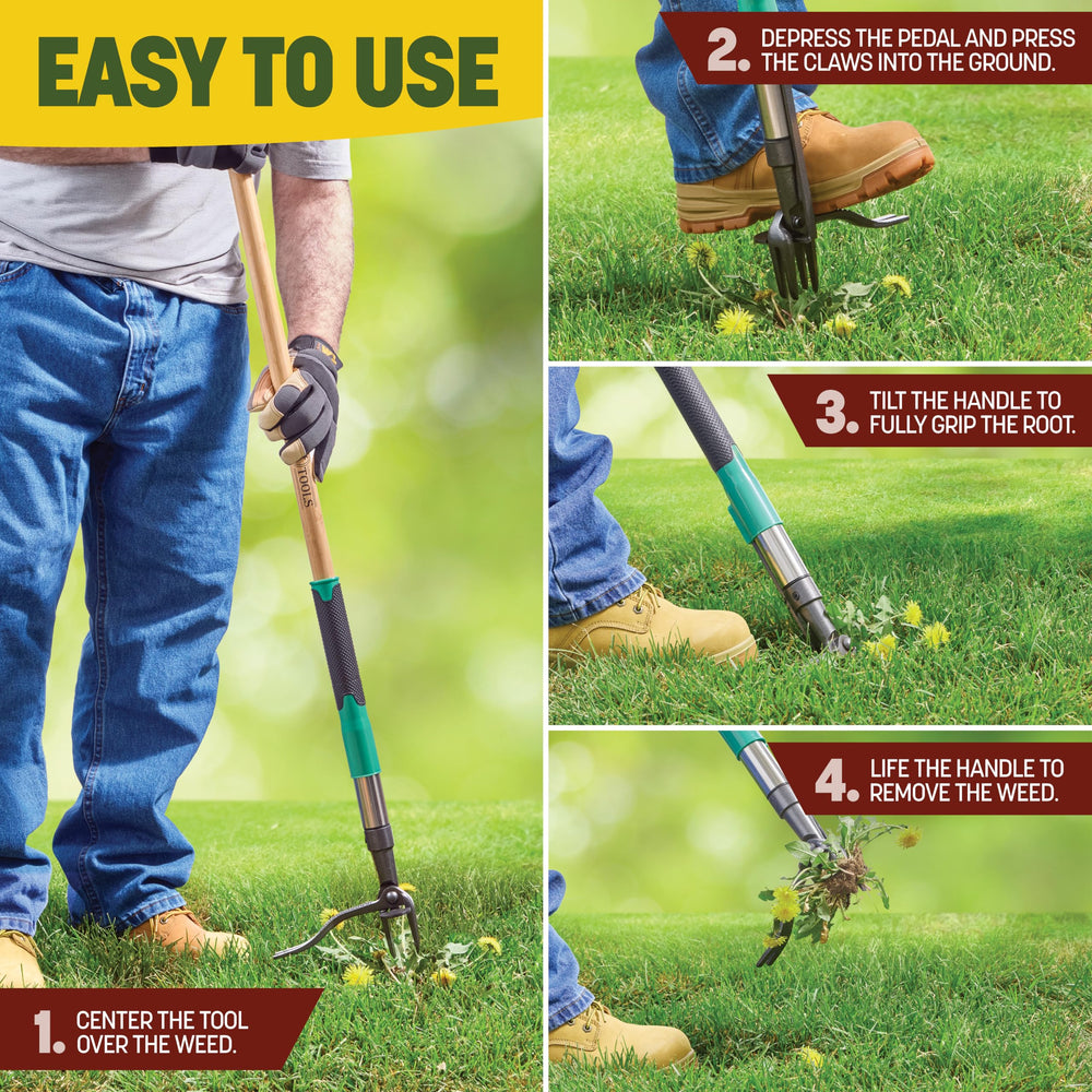 MELISSA AND HARRY Weed Puller Tool in garden setting