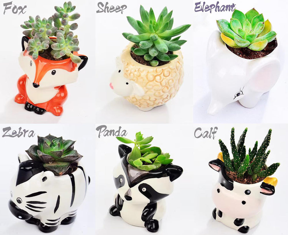 Melphoe 6 animal pots displayed together on a table