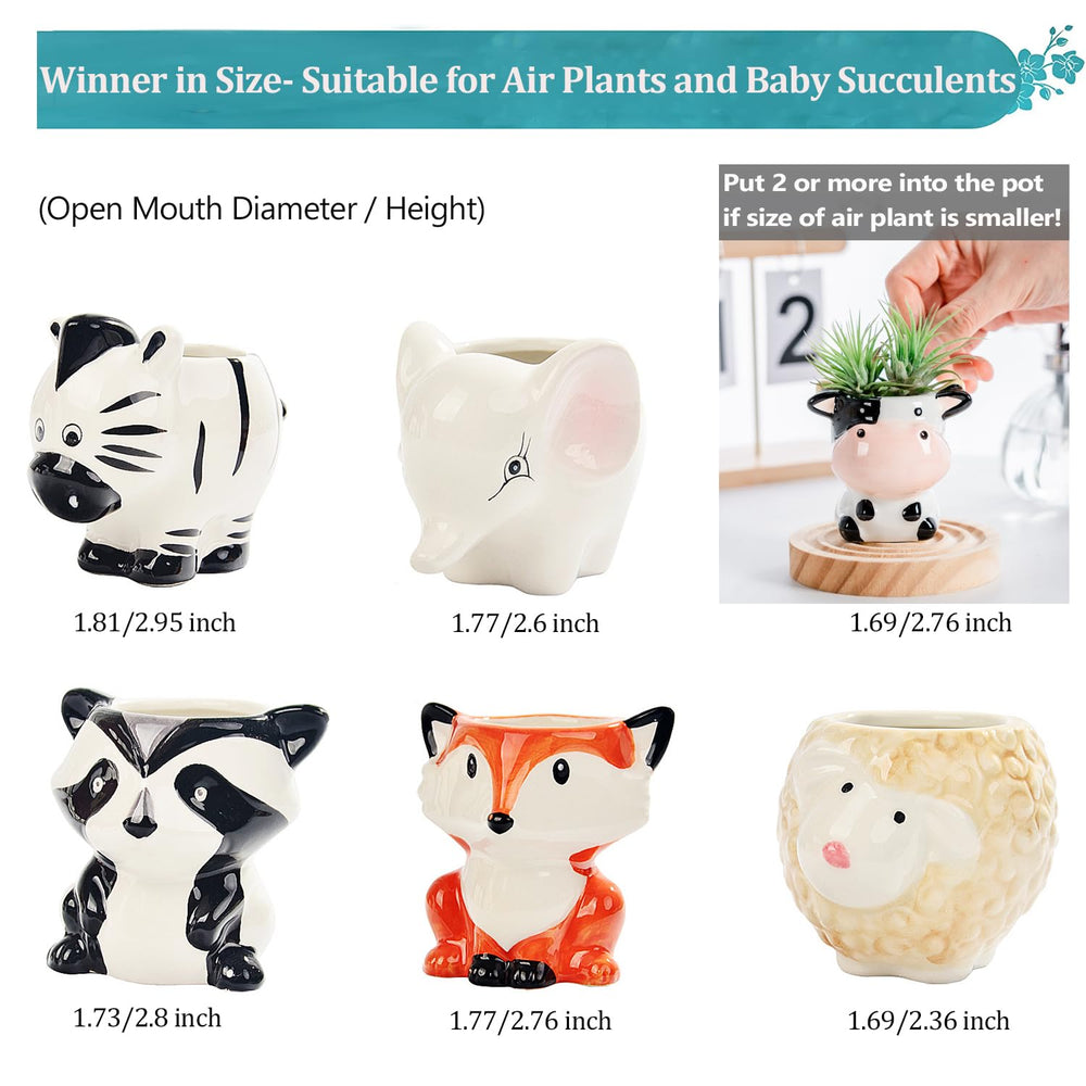 Melphoe animal-shaped pots in a living room setting