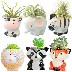 Melphoe animal-shaped succulent pots set front view