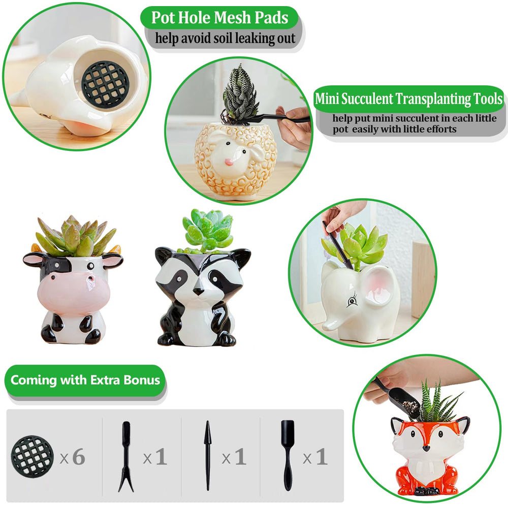 Melphoe ceramic pots with colorful designs and drainage holes