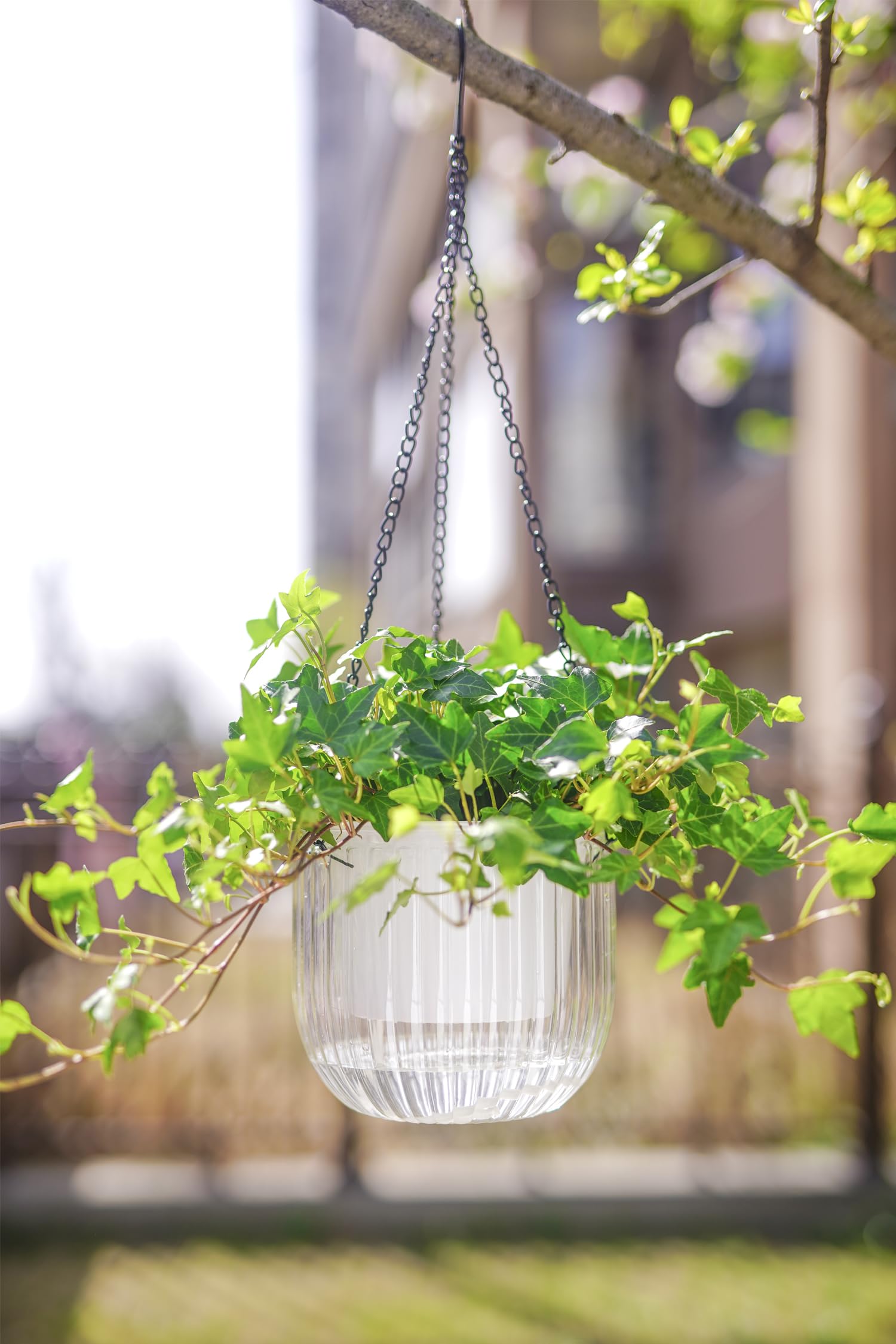 Melphoe hanging planter with detachable chain and hooks