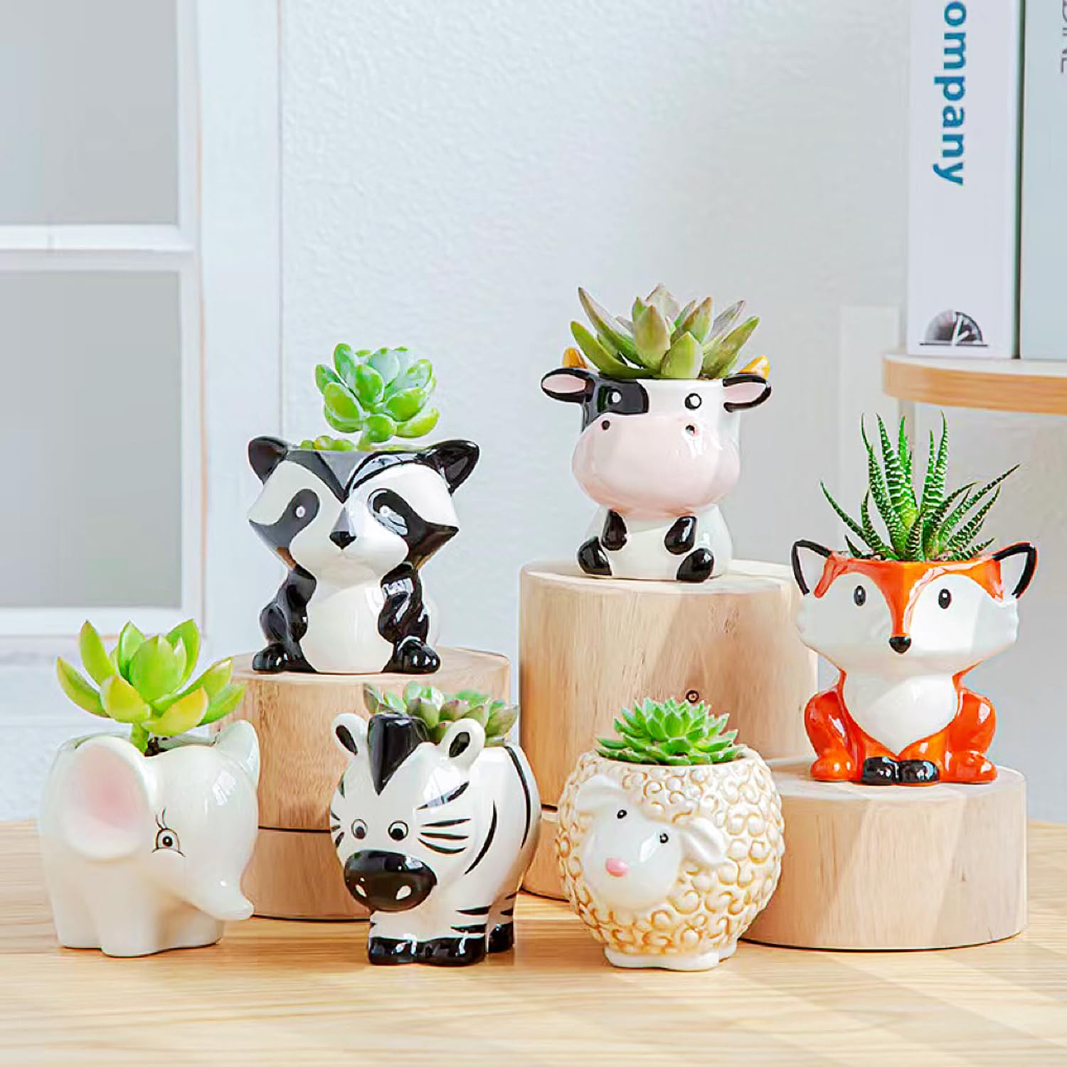Melphoe mini transplanting tools included with pots