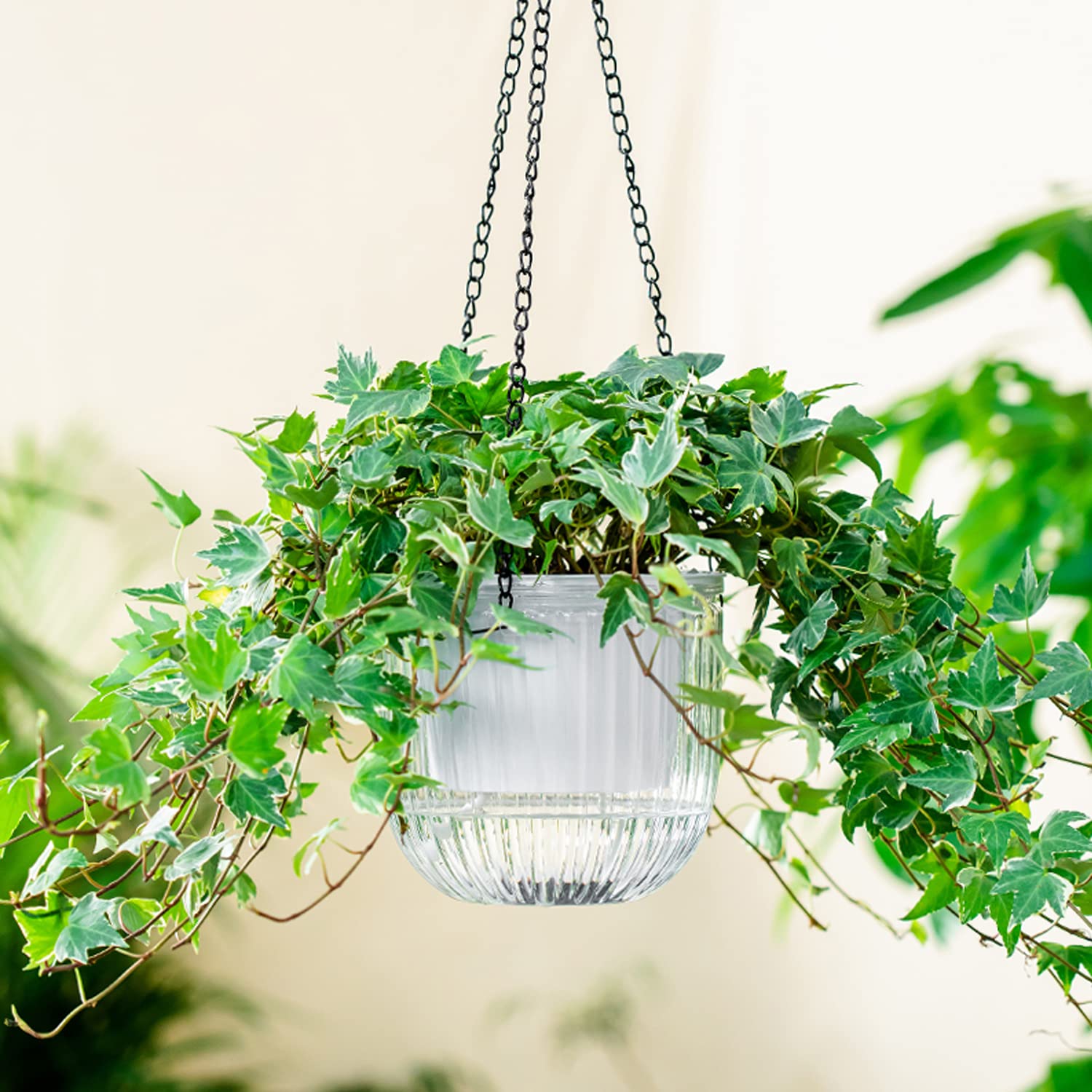 Melphoe planter with succulents and herbs