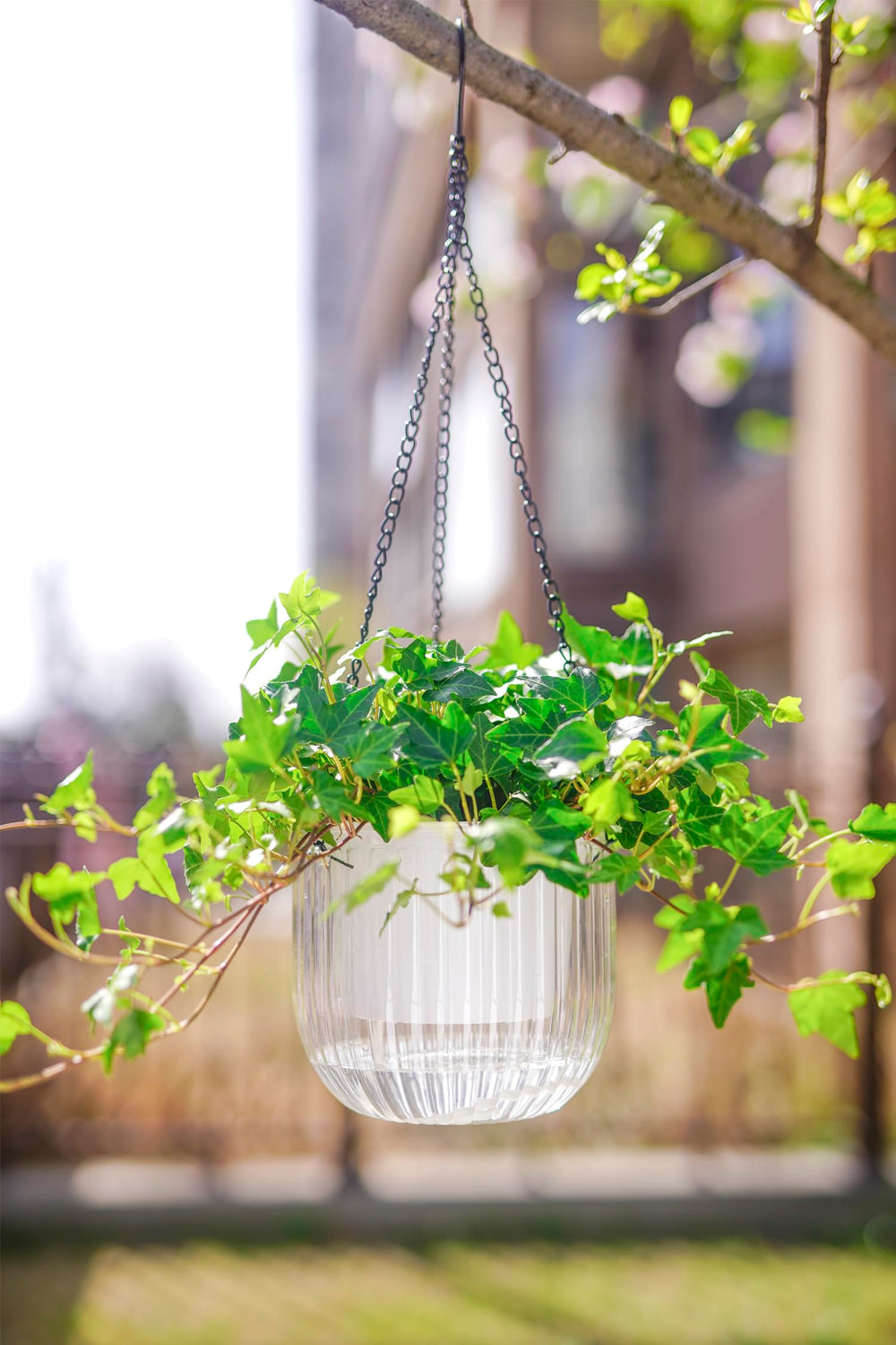 Melphoe self watering hanging planter with hooks