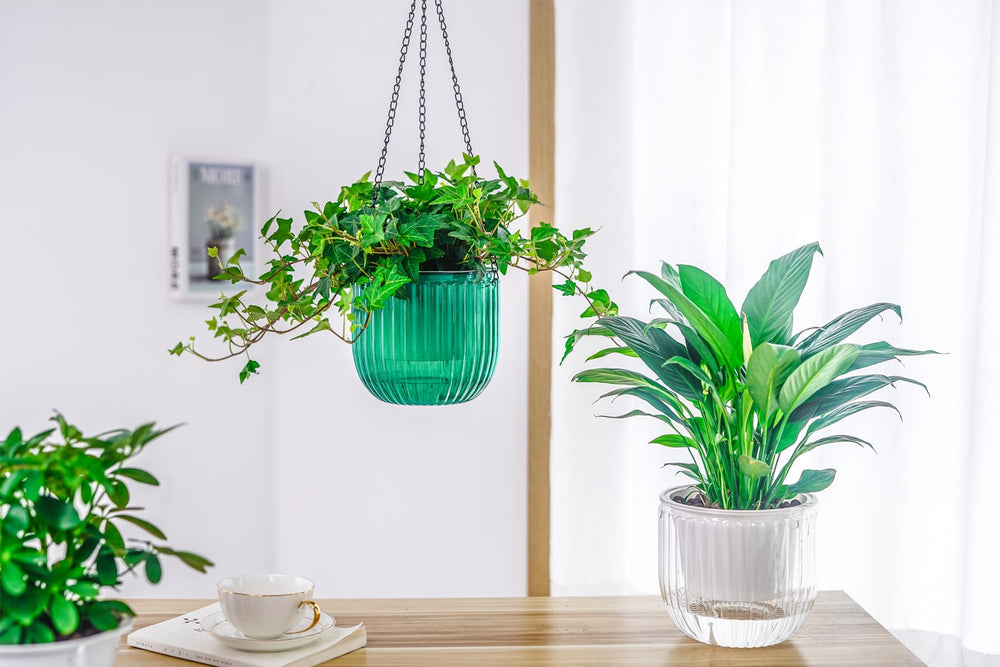 Melphoe self watering planter showing the cotton wick system