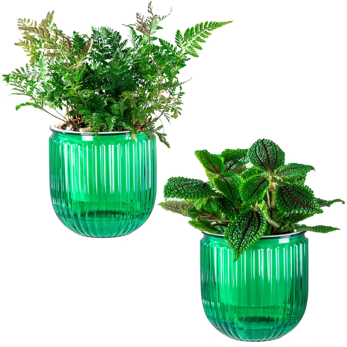 Melphoe self watering pot 4.3 inch emerald front view
