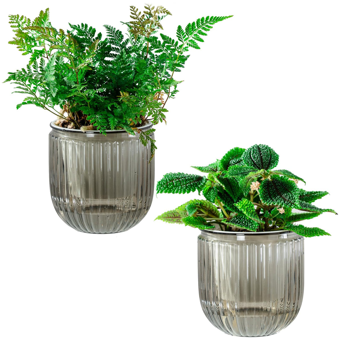 Melphoe Self Watering Pot 4.3 Inch front view