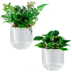 Melphoe self watering pot 4.3 inch front view