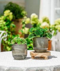 Melphoe Self Watering Pot 4.3 Inch side view