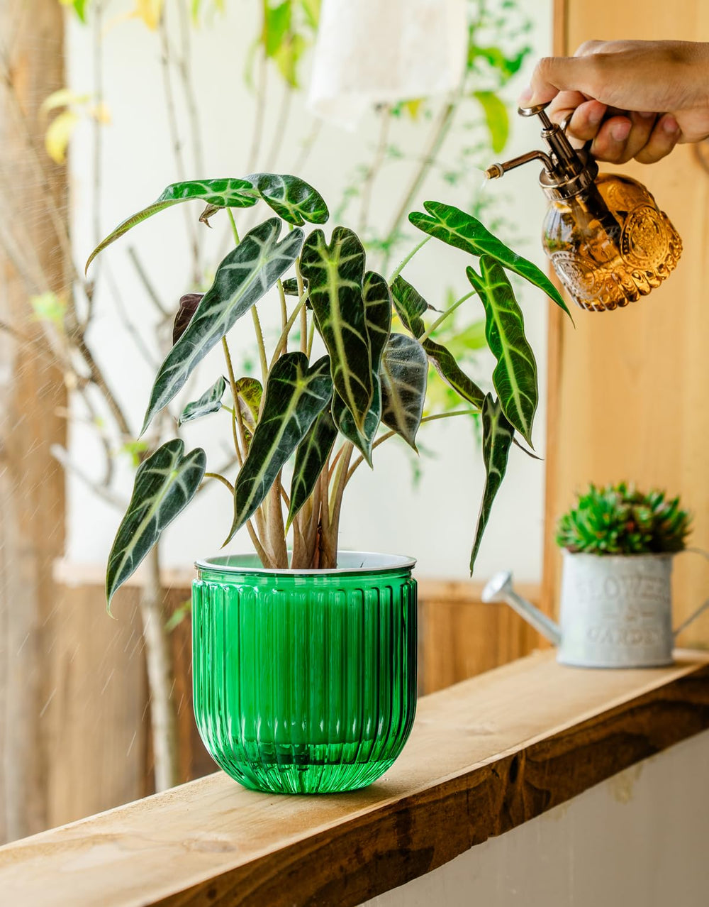 Melphoe self watering pot 8.3 inches in outdoor garden