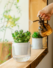 Melphoe self watering pot displaying clear water level