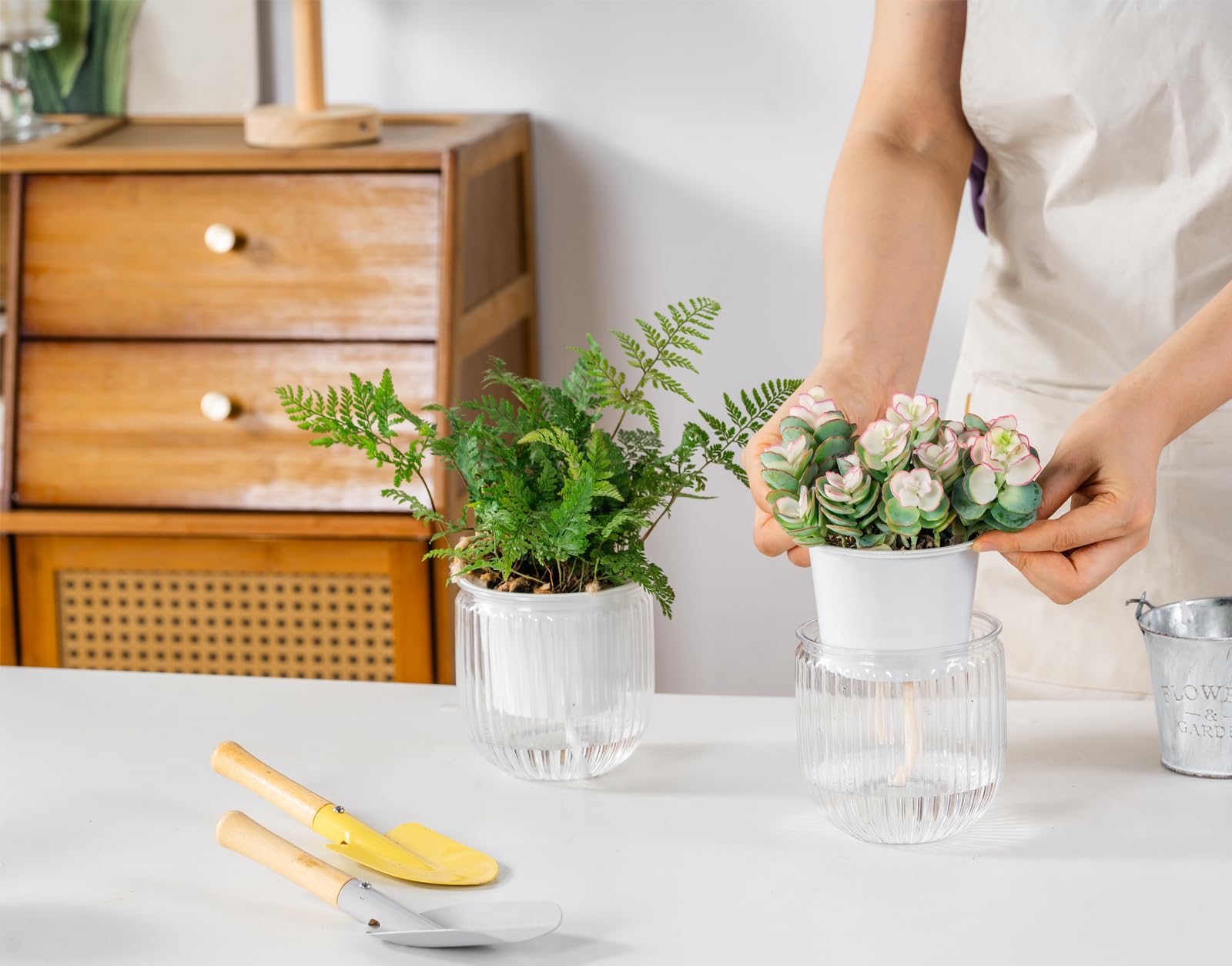Melphoe self watering pot filled with soil and plant