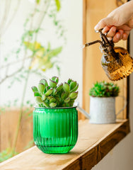 Melphoe self watering pot side view with drainage holes
