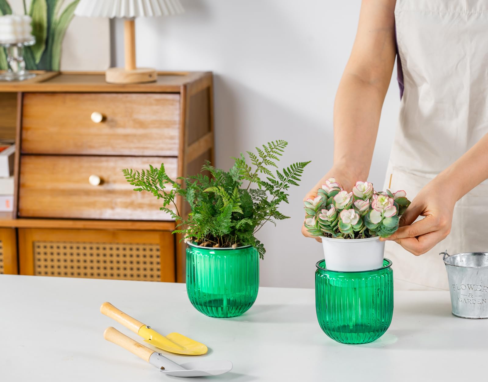 Melphoe self watering pot with succulent plant