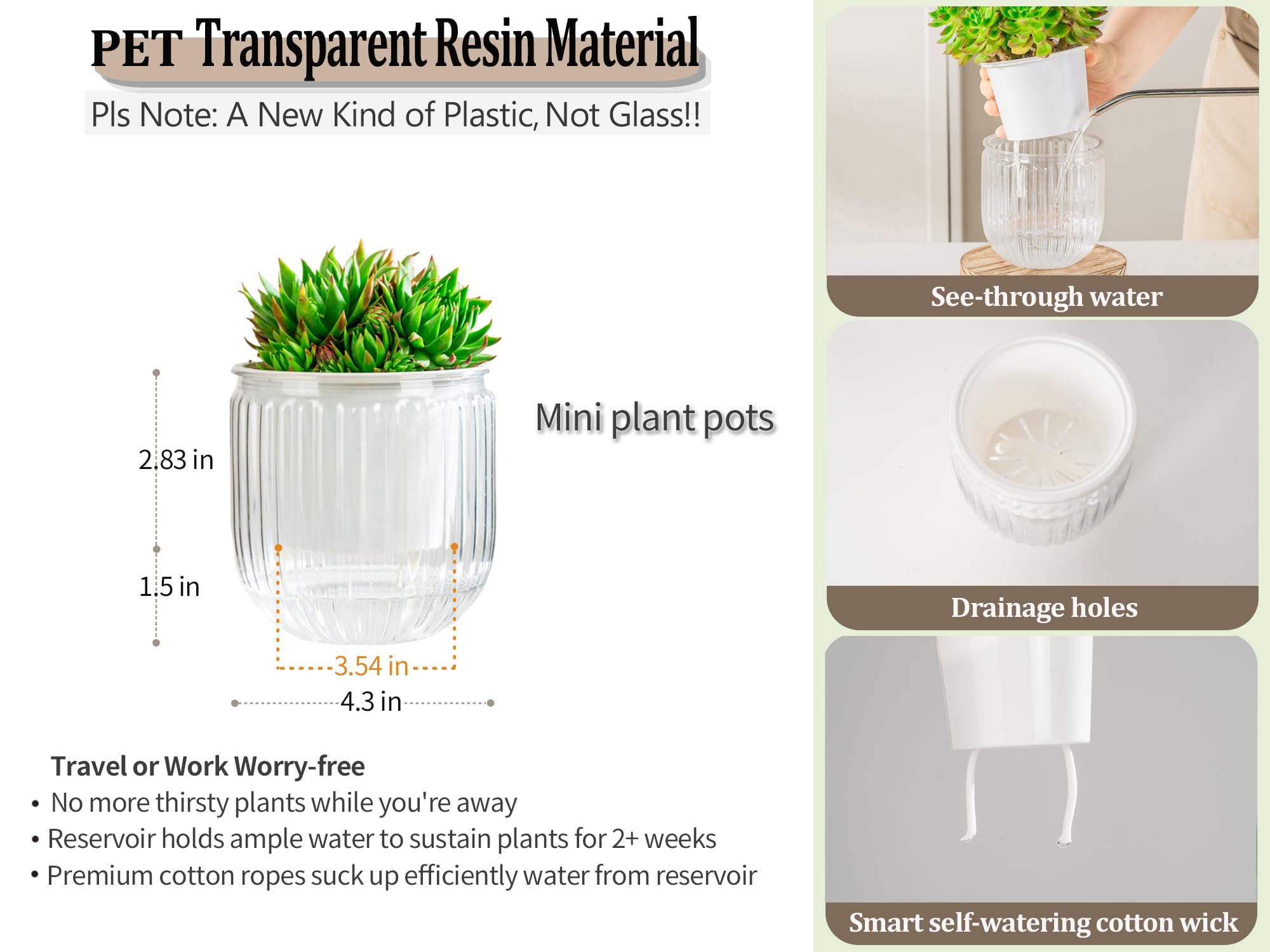 Melphoe self watering pot with succulent plant