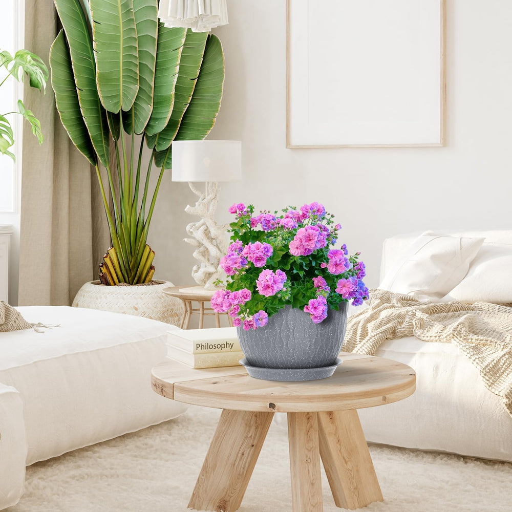 Meowell 10 inch flower pot with succulent plant