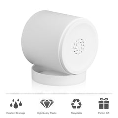Meowell 4 inch white flower pot with succulent plant