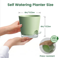 Meowell 6 inch self watering pot with drainage holes