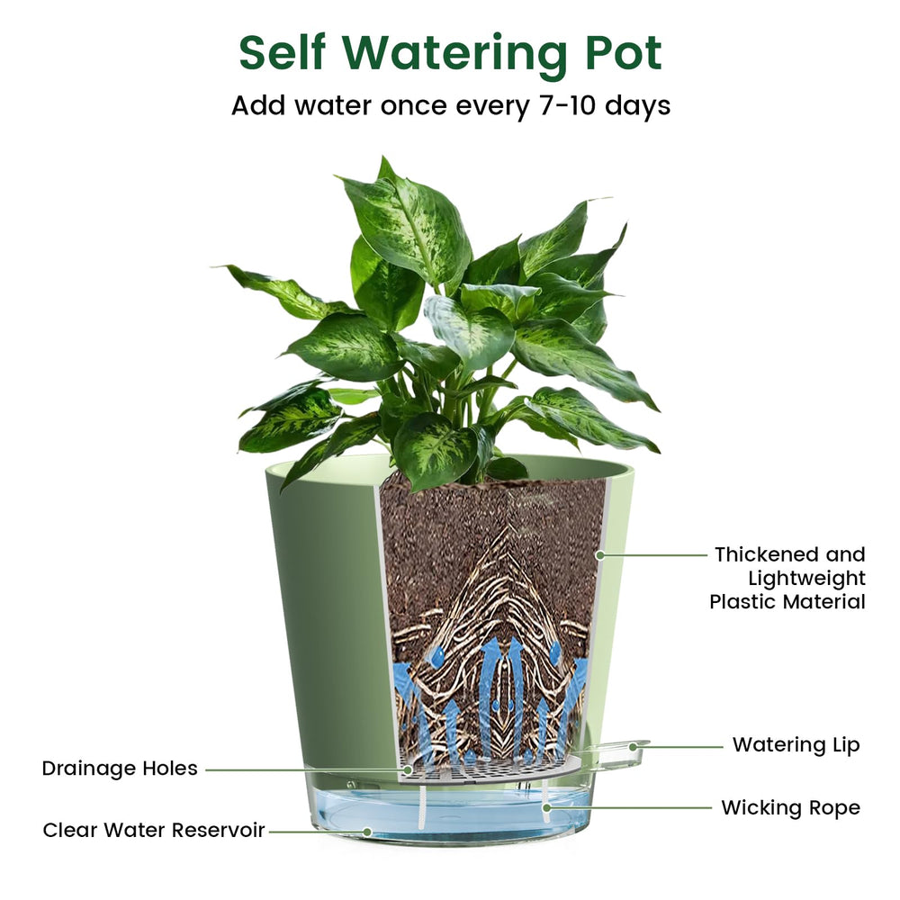 Meowell 6 inch self watering pots in a stylish indoor setting