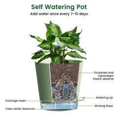 Meowell 6 inch self watering pots in a stylish indoor setting
