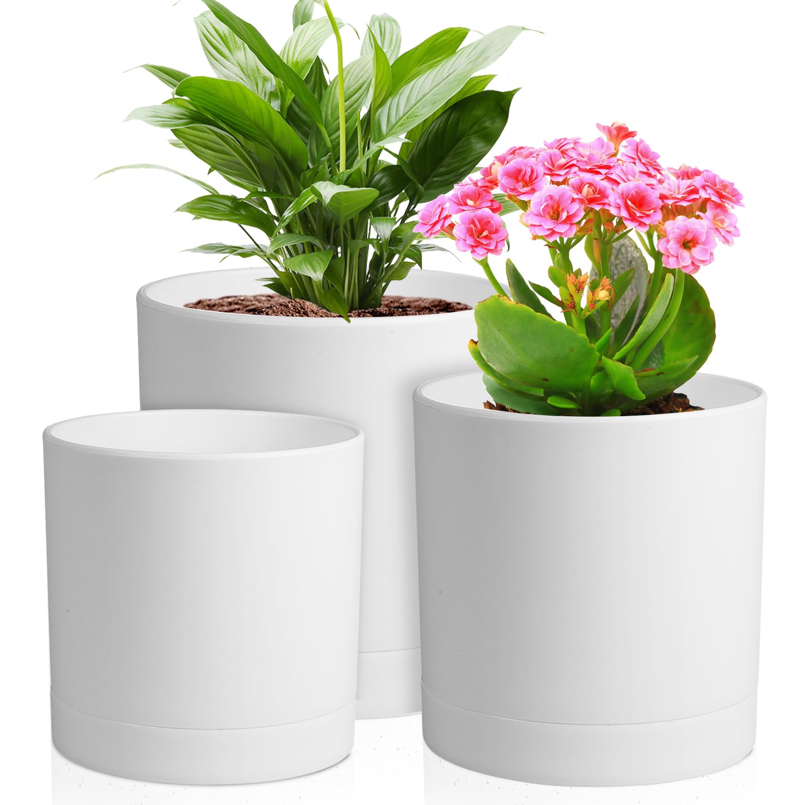 Meowell 6 inch white flower pot with drainage holes