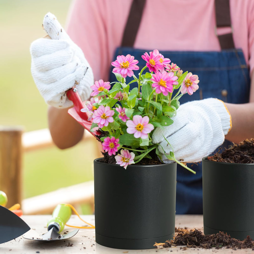 Meowell black plant pots with various plants