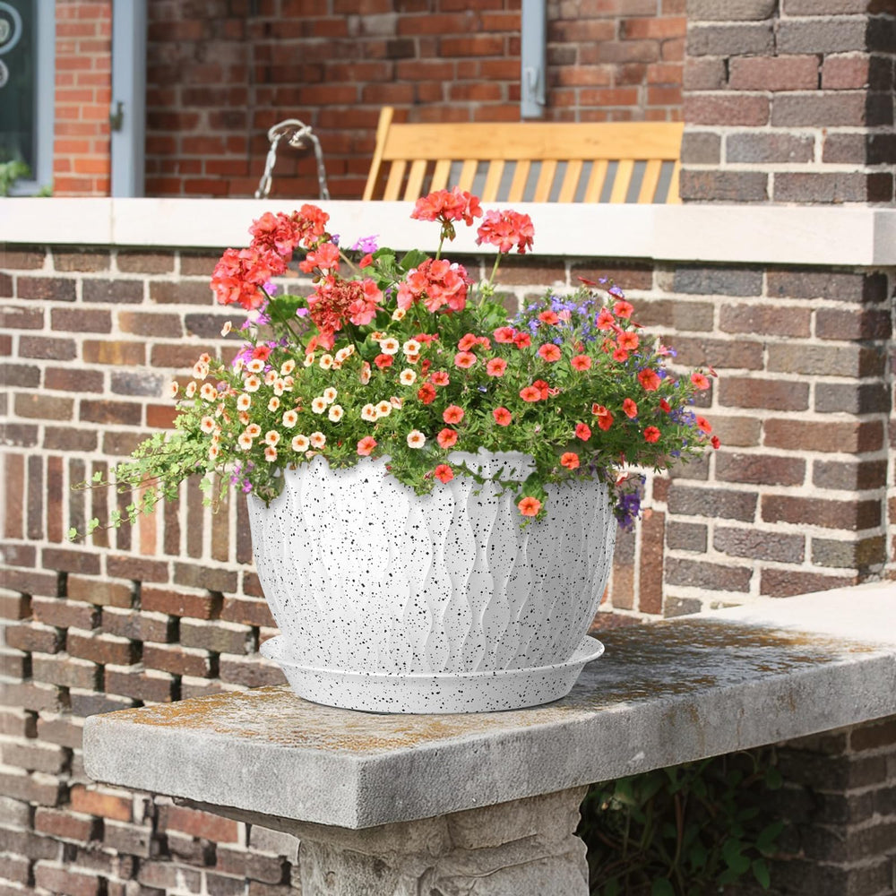 Meowell flower pot set displayed with indoor plants