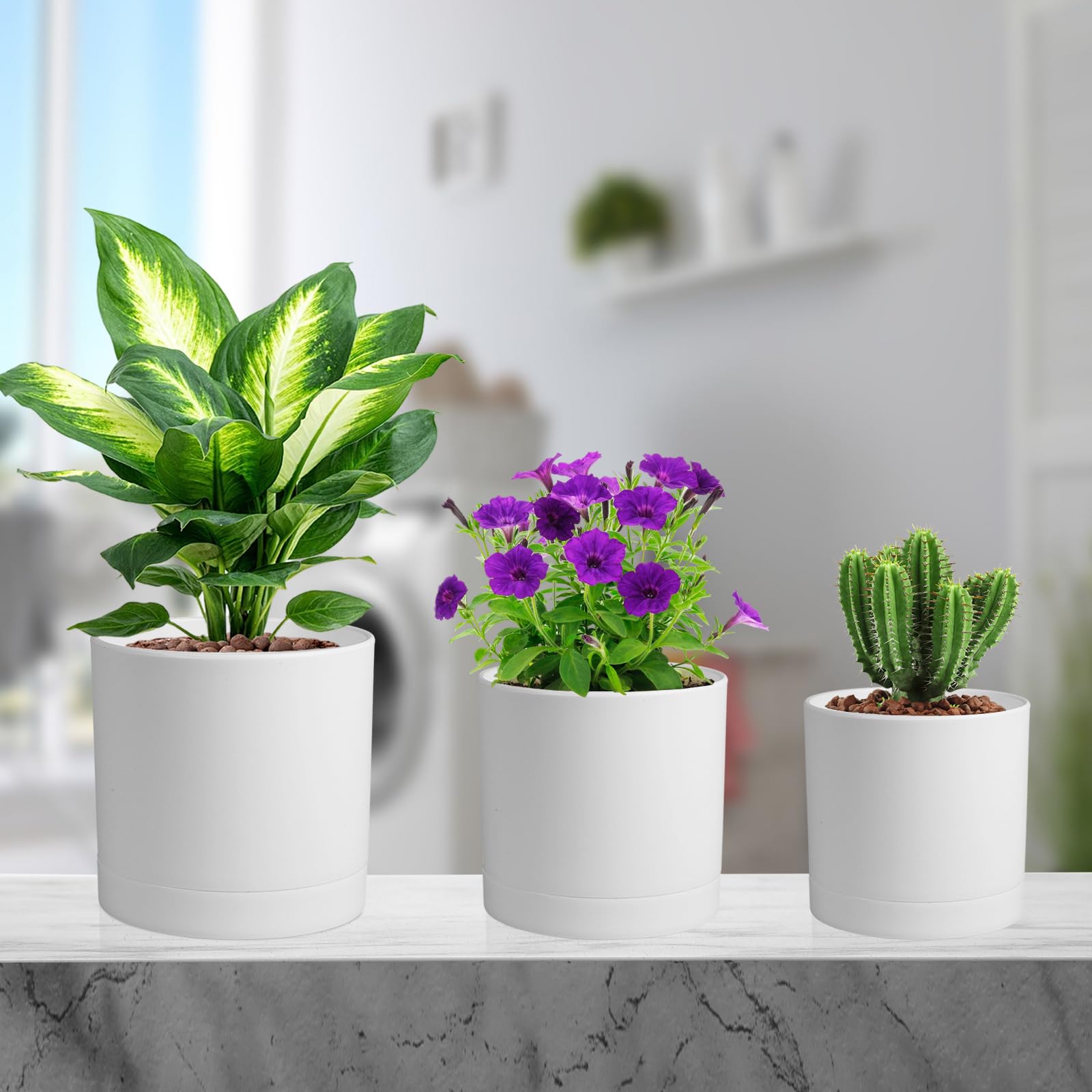 Meowell flower pots in a modern kitchen setting