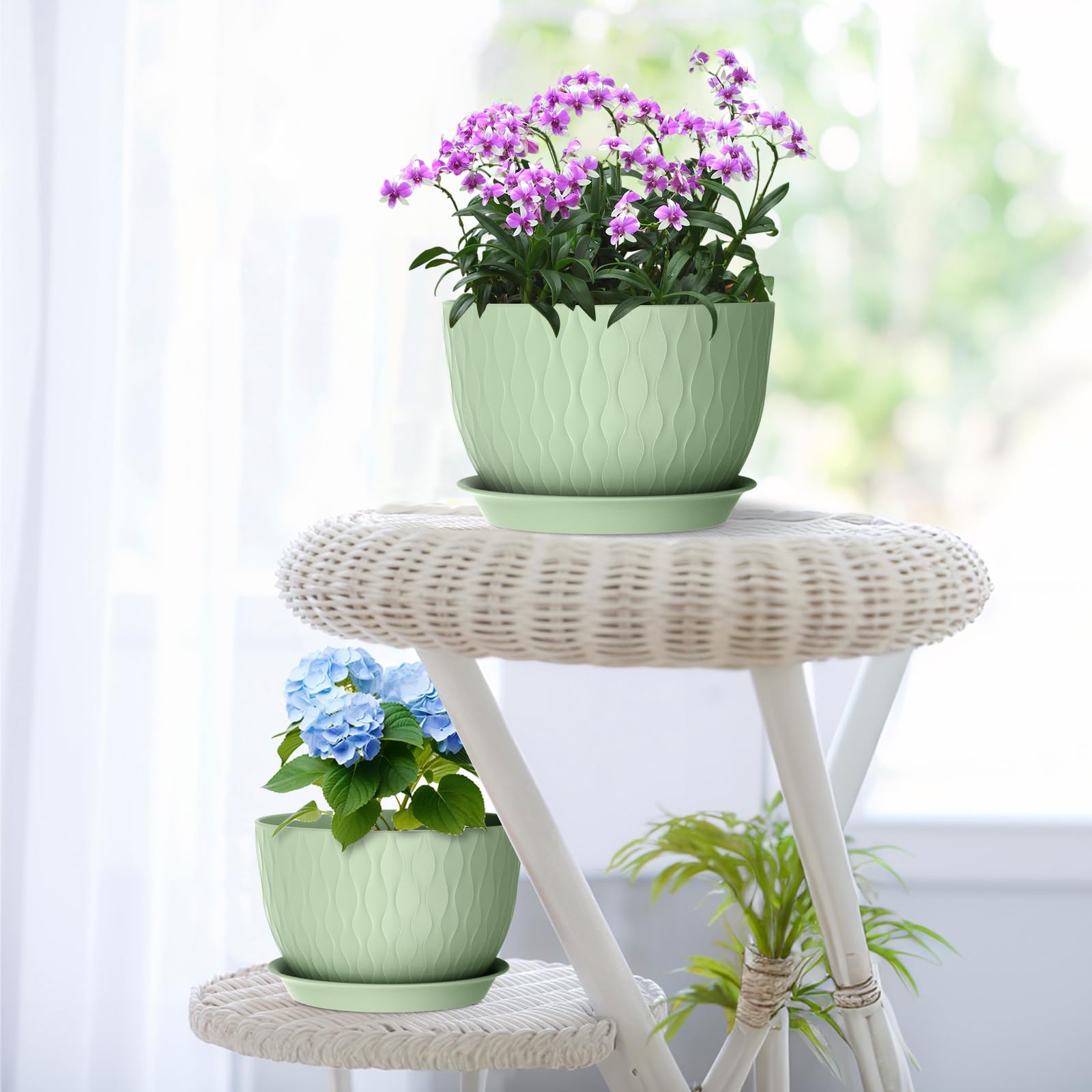 Meowell flower pots set with colorful DIY decor